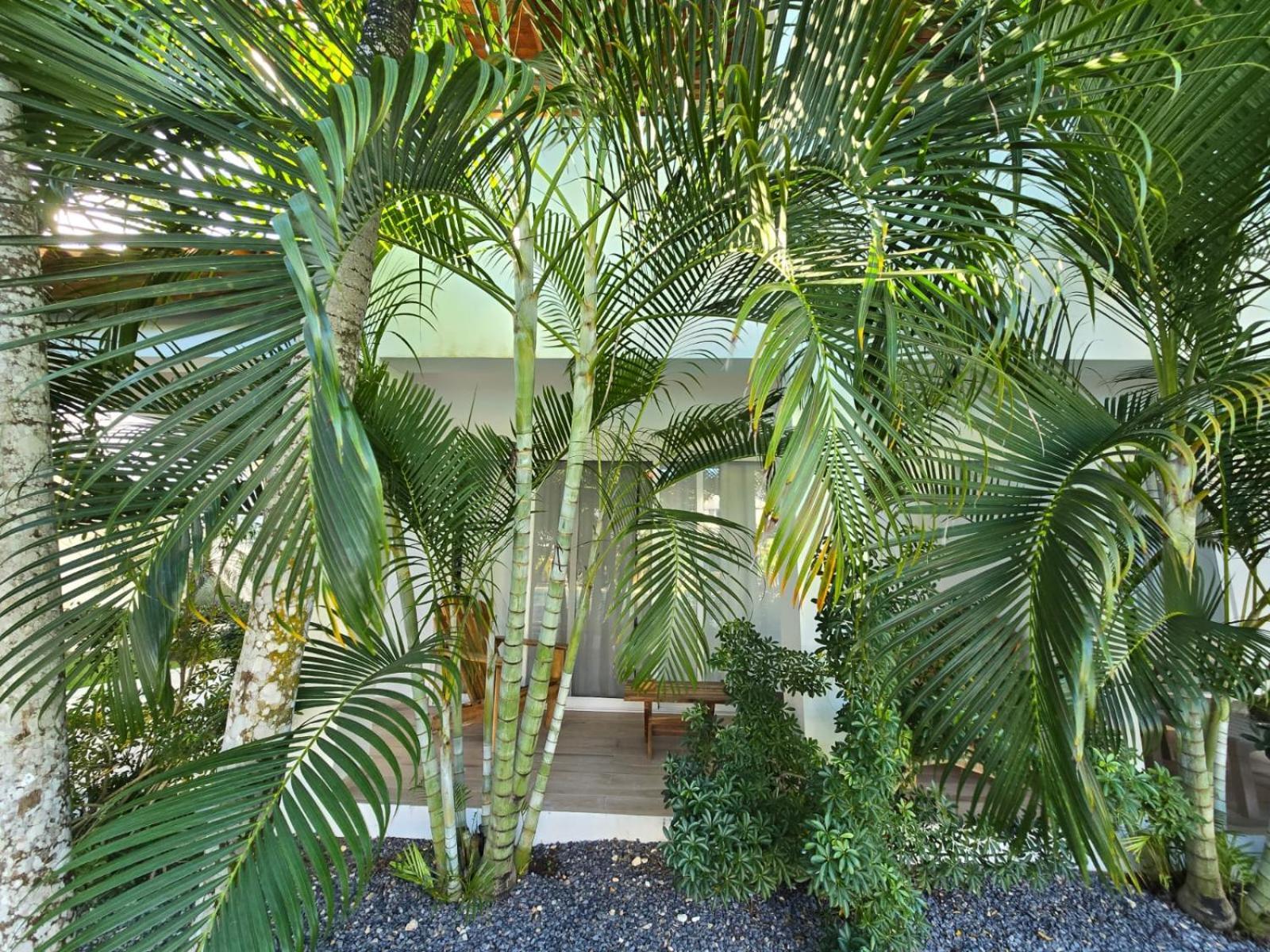 Residencial Paraiso Bayahibe Luaran gambar